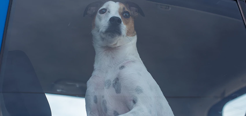 Car Lockout Solutions in Palermo, California